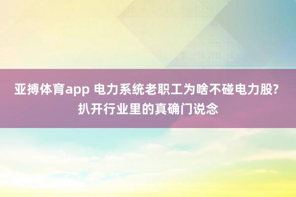 亚搏体育app 电力系统老职工为啥不碰电力股? 扒开行业里的真确门说念