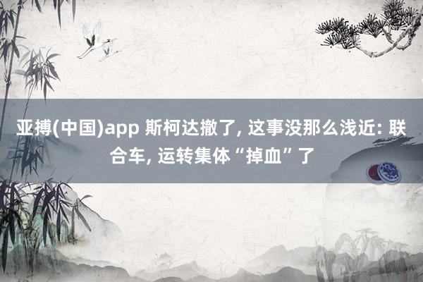 亚搏(中国)app 斯柯达撤了, 这事没那么浅近: 联合车, 运转集体“掉血”了