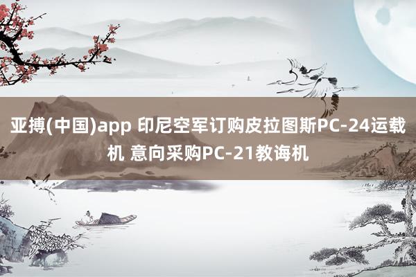 亚搏(中国)app 印尼空军订购皮拉图斯PC-24运载机 意向采购PC-21教诲机