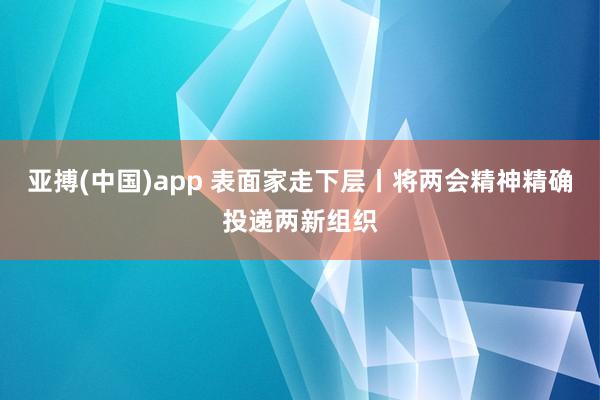 亚搏(中国)app 表面家走下层丨将两会精神精确投递两新组织