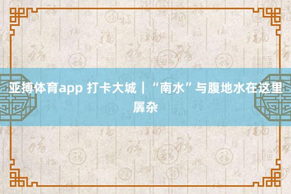 亚搏体育app 打卡大城｜“南水”与腹地水在这里羼杂