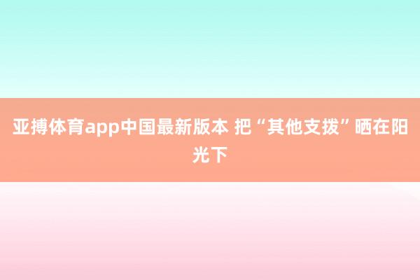 亚搏体育app中国最新版本 把“其他支拨”晒在阳光下