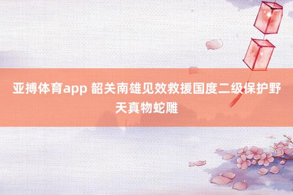 亚搏体育app 韶关南雄见效救援国度二级保护野天真物蛇雕