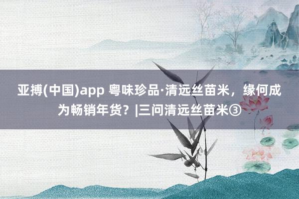 亚搏(中国)app 粤味珍品·清远丝苗米，缘何成为畅销年货？|三问清远丝苗米③