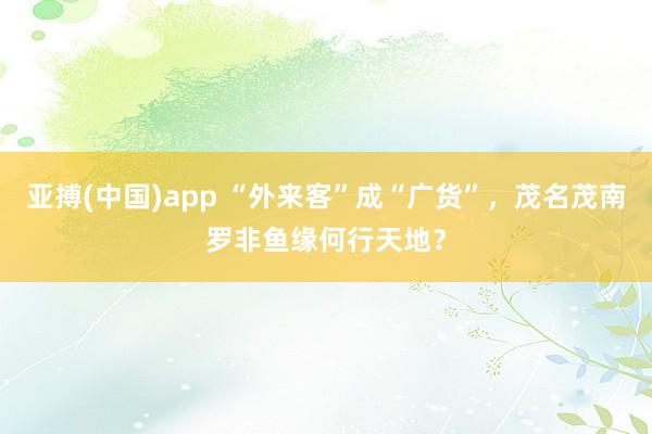 亚搏(中国)app “外来客”成“广货”，茂名茂南罗非鱼缘何行天地？