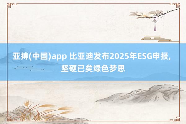 亚搏(中国)app 比亚迪发布2025年ESG申报, 坚硬已矣绿色梦思